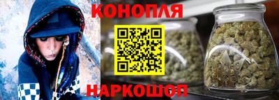 амф Гатчина