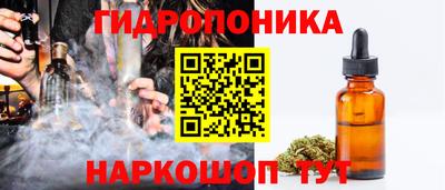 амф Гатчина