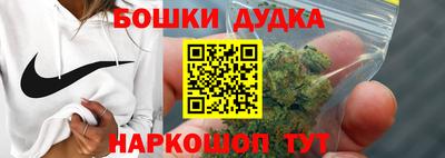 амф Гатчина