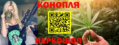 прущие грибы Гагарин