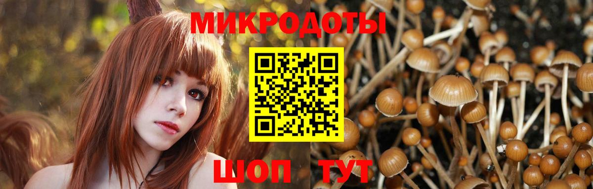 Ипатово  Псилоцибиновые грибы MAGIC MUSHROOMS  Вход с VPN 